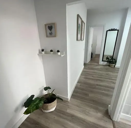 Piso Centrico En Palmas 大加那利岛拉斯帕尔马斯